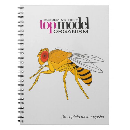 Drosophila spiral notebook