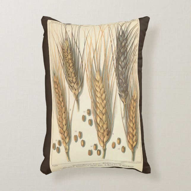 Drought Resistant Wheat Plant, Vintage Agriculture Accent Pillow (Front(Vertical))