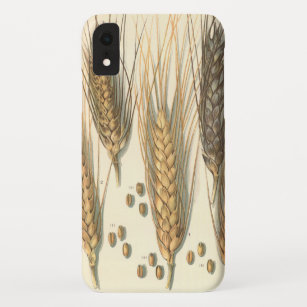 Drought Resistant Wheat Plant, Vintage Agriculture iPhone XR Case
