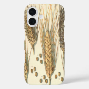 Drought Resistant Wheat Plant, Vintage Agriculture iPhone 16 Case