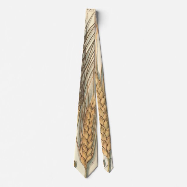 Drought Resistant Wheat Plant, Vintage Agriculture Neck Tie (Front)