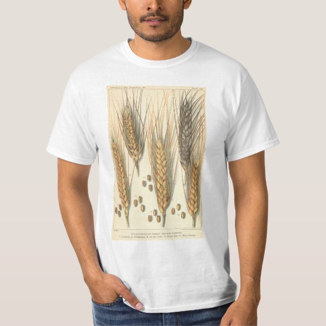 Drought Resistant Wheat Plant, Vintage Agriculture T-Shirt (Front)
