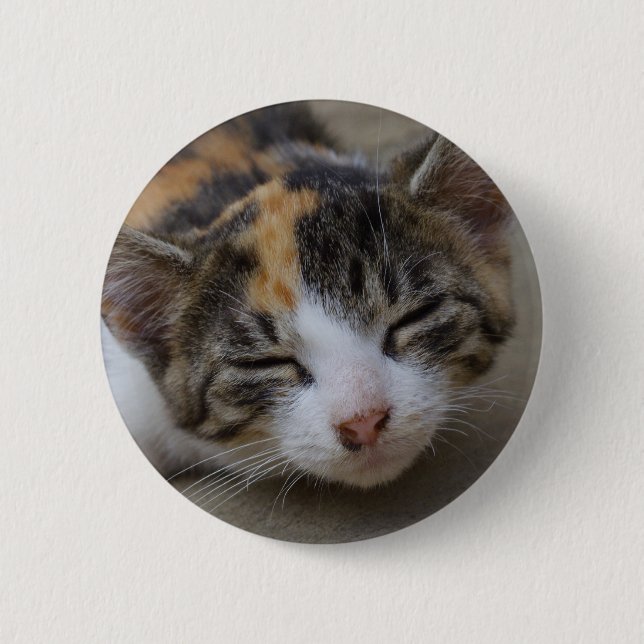 Drowsing Calico Kitten Pinback Button (Front)