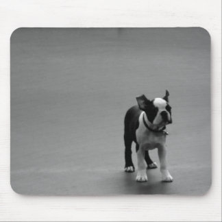 DRU puppy boston terrier Mouse Pad
