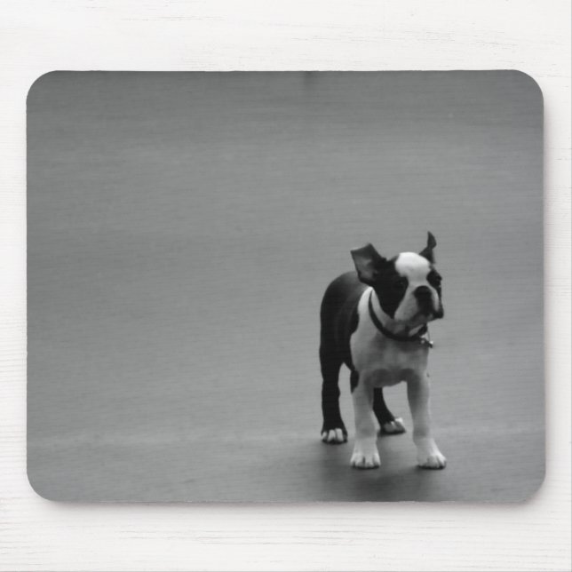 DRU puppy boston terrier Mouse Pad (Front)