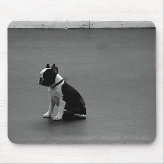 DRU puppy boston terrier Mouse Pad