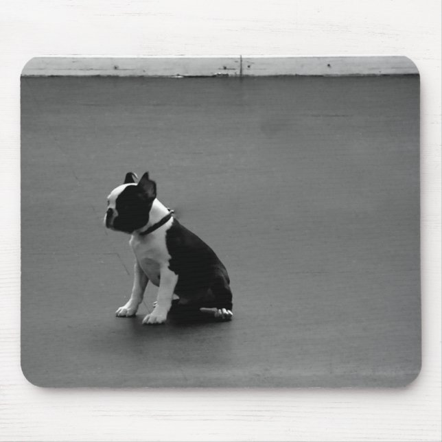 DRU puppy boston terrier Mouse Pad (Front)