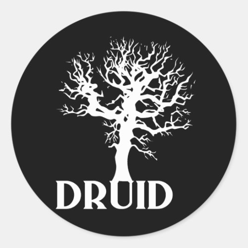 Druid Classic Round Sticker