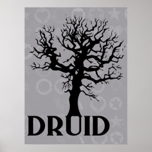 Druid Poster