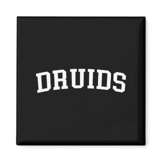 Druids  magnet