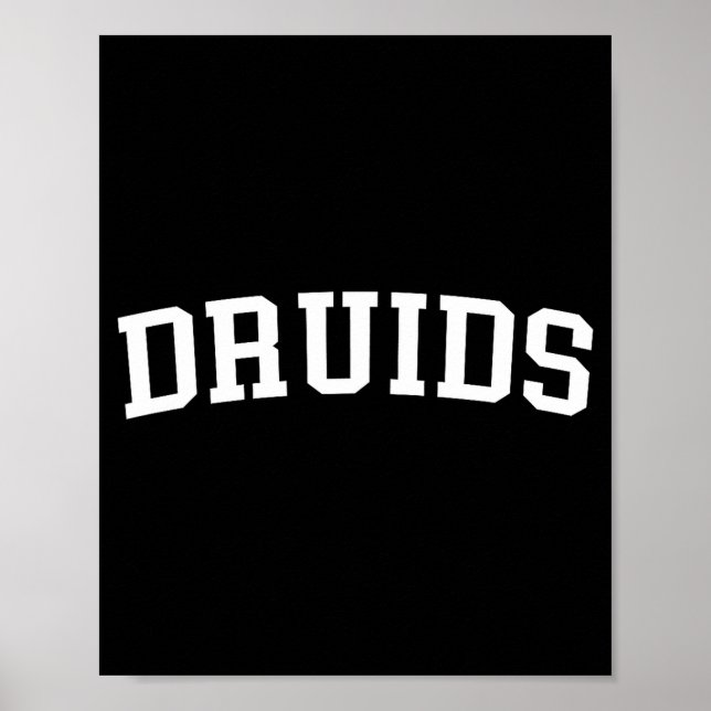 Druids  poster (Front)
