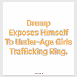 Drump Exposes Himself To Girl Hankamer Artjunkhaus Sticker