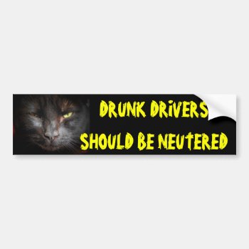 Drunk Drivers Should Be Neutered Mean Cat Bumper Sticker by talkingbumpers at Zazzle