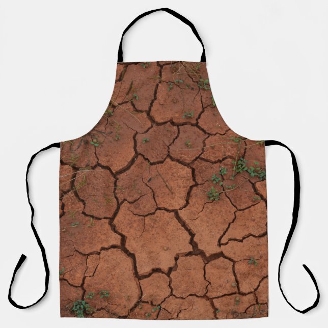 dry, cracked ground apron (Front)