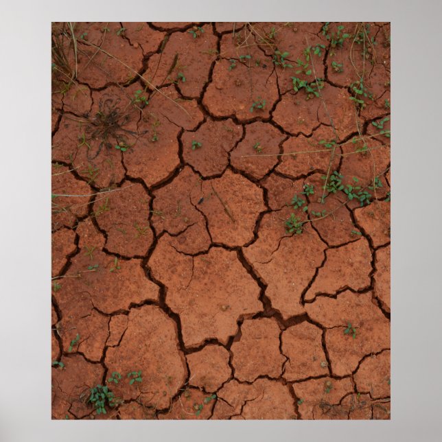 dry, cracked ground poster (Front)