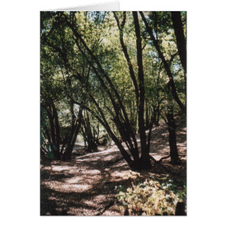 Dry Creek Road Cards