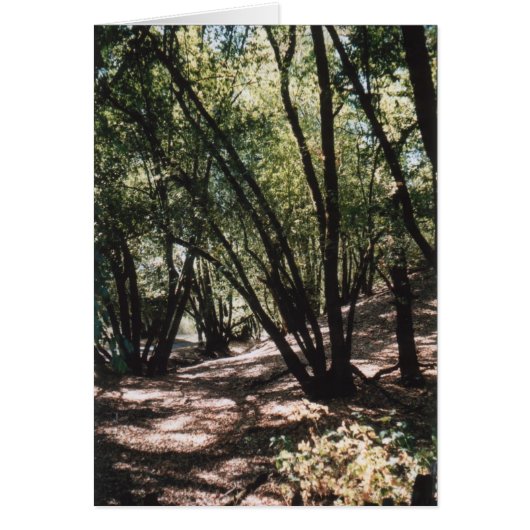 Dry Creek Road Cards (Front)