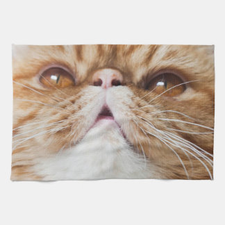 DrY DA DiShEs! Kitchen Towel