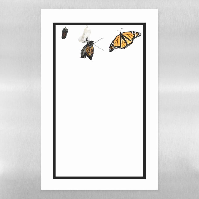 Dry Erase Board Eclosing Monarch (Vertical)