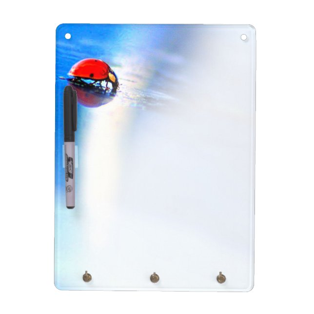 Dry Erase Board Little Ladybug (Front)