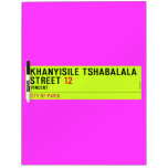 Khanyisile Tshabalala Street  Dry Erase Boards