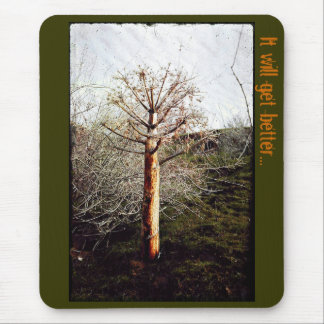 Dry Ferula Plant Mouse Pad