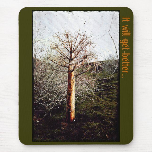 Dry Ferula Plant Mouse Pad (Front)