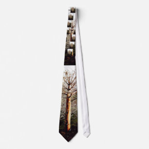 Dry Ferula Plant Neck Tie