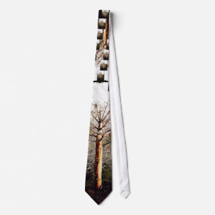 Dry Ferula Plant Neck Tie