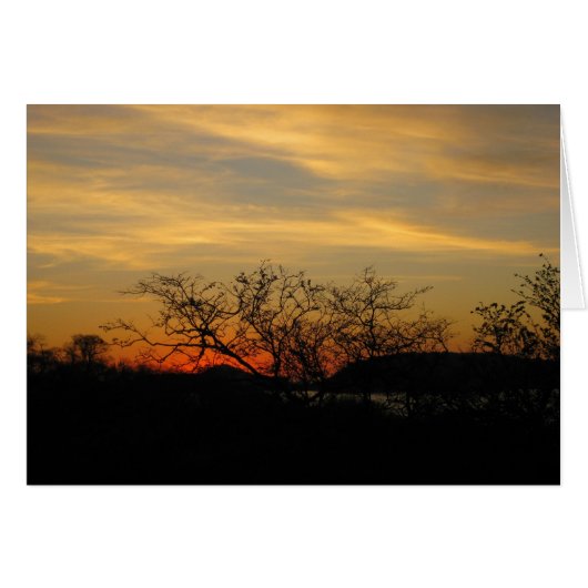 Dry Forest Sunset Cards (Front Horizontal)