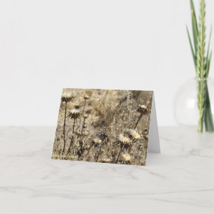 Dry Grass Card