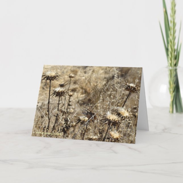 Dry Grass Card (Front)