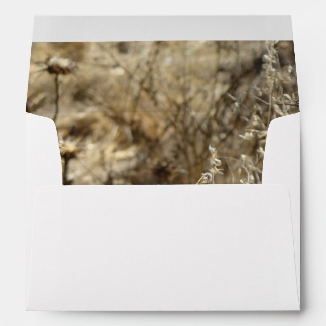 Dry Grass Envelope (Back (Bottom))
