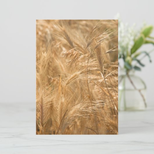 Dry grass pattern (Standing Front)