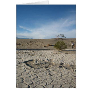 Dry Grounds Cards