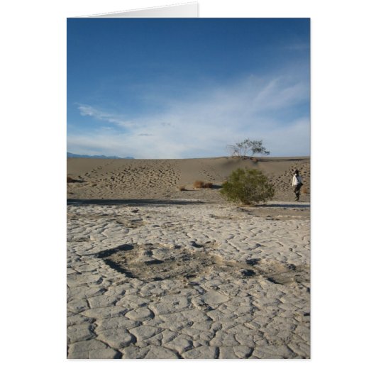 Dry Grounds Cards (Front)