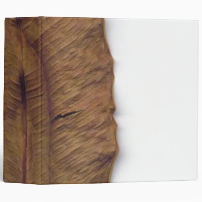Dry Leaf Avery Binder (Front/Spine)