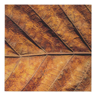 Dry leaf: natural texture background. faux canvas print