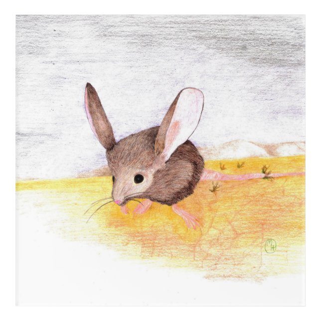 Dry Mouse Acrylic Print (Front)