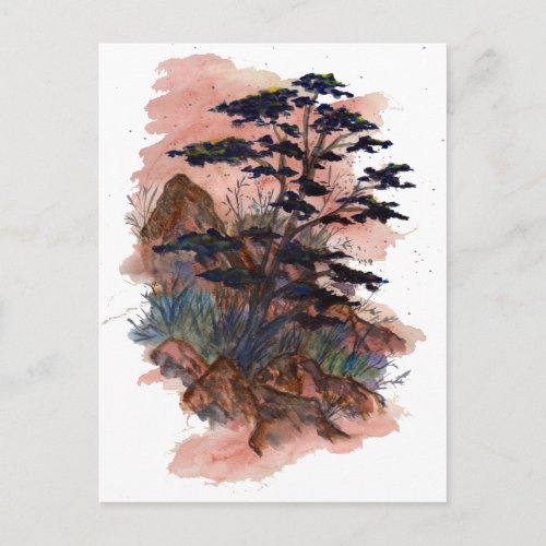 Dry nature watercolor Postcard