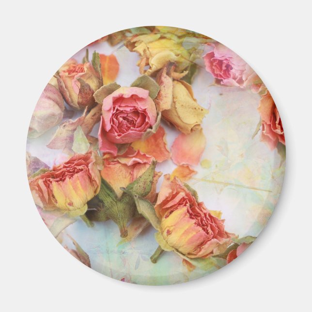 Dry roses vintage design magnet (Front)