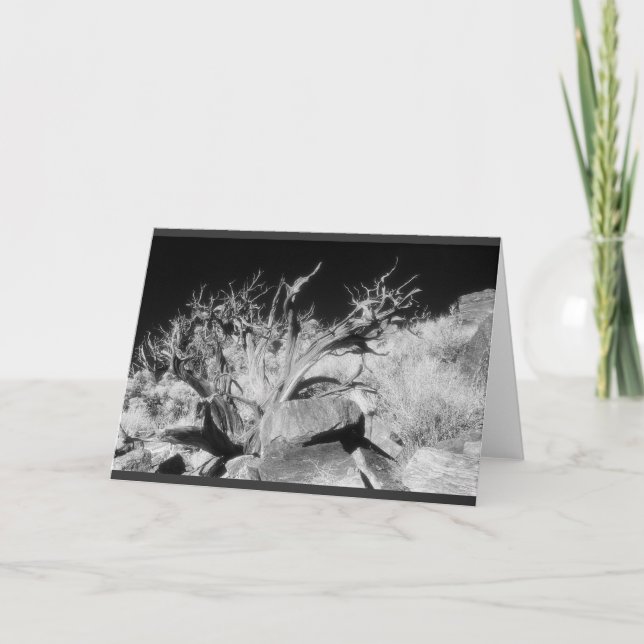 Dry wood landscape card (Front)