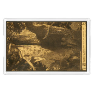 Dryad Woman So haunted Owl & Bat Night Moonlight Acrylic Tray