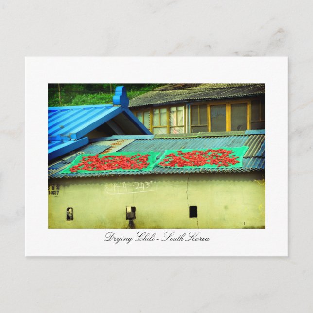 Drying Chili on a rooftop - Southkorea Postcard (Front)