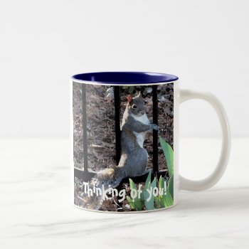 Ds- Thinking Of You! Squirrel Mug by patcallum at Zazzle