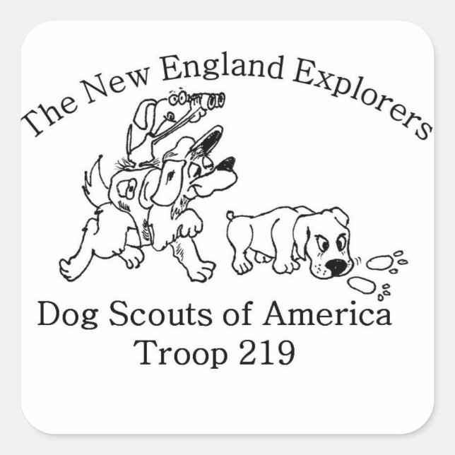 DSA Troop 219 stickers (Front)