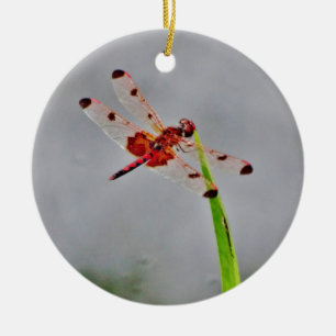 DSC00029.JPG CERAMIC ORNAMENT