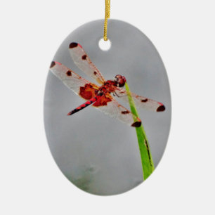 DSC00029.JPG CERAMIC ORNAMENT