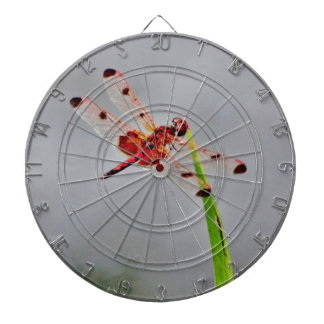 DSC00029.JPG DARTBOARD WITH DARTS