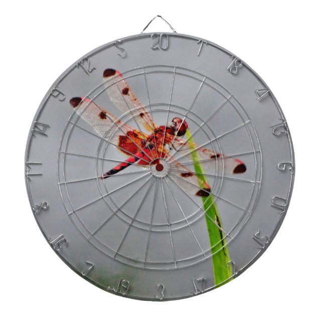 DSC00029.JPG DARTBOARD WITH DARTS (Front)